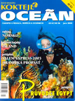 Oceán Salem Express 2006